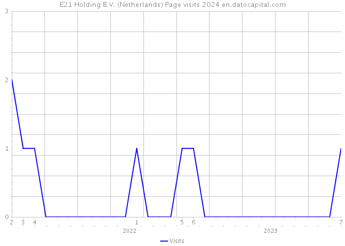 E21 Holding B.V. (Netherlands) Page visits 2024 