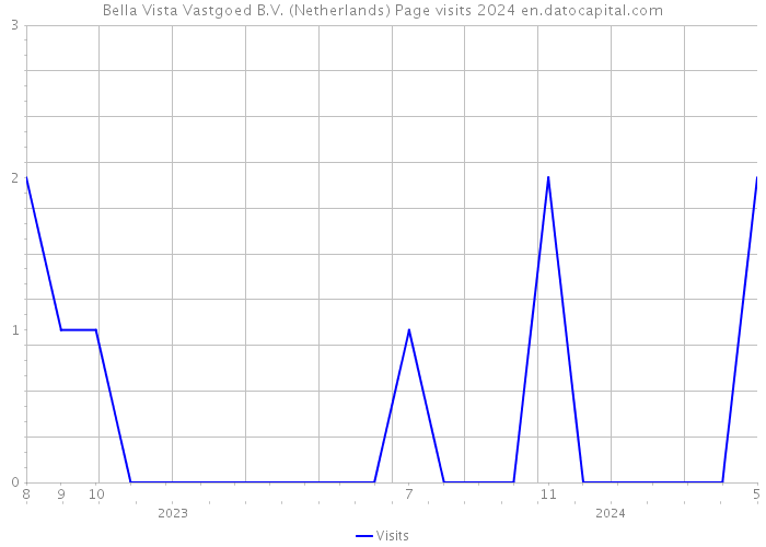 Bella Vista Vastgoed B.V. (Netherlands) Page visits 2024 
