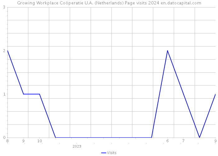 Growing Workplace Coöperatie U.A. (Netherlands) Page visits 2024 