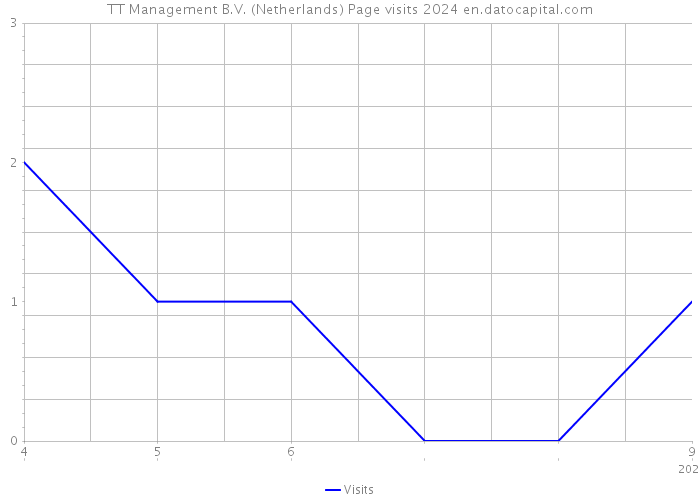 TT Management B.V. (Netherlands) Page visits 2024 