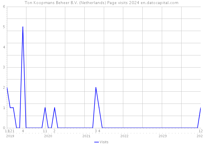 Ton Koopmans Beheer B.V. (Netherlands) Page visits 2024 
