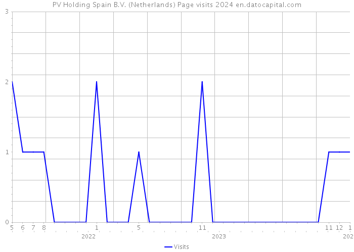 PV Holding Spain B.V. (Netherlands) Page visits 2024 