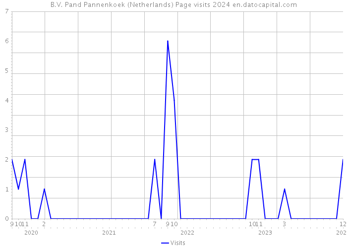 B.V. Pand Pannenkoek (Netherlands) Page visits 2024 