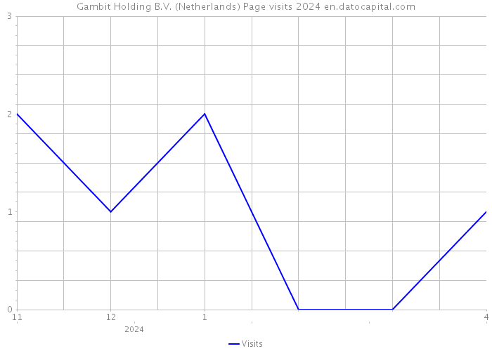 Gambit Holding B.V. (Netherlands) Page visits 2024 