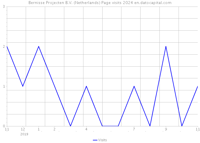 Bernisse Projecten B.V. (Netherlands) Page visits 2024 