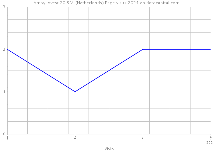 Amoy Invest 20 B.V. (Netherlands) Page visits 2024 