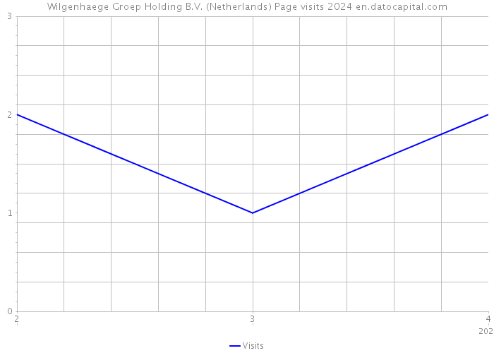Wilgenhaege Groep Holding B.V. (Netherlands) Page visits 2024 
