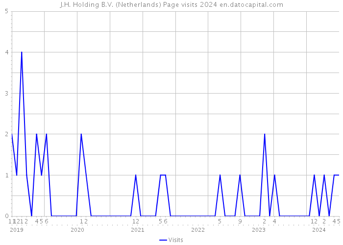 J.H. Holding B.V. (Netherlands) Page visits 2024 