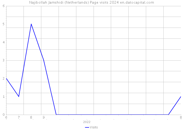 Najibollah Jamshidi (Netherlands) Page visits 2024 