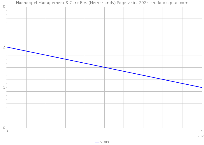 Haanappel Management & Care B.V. (Netherlands) Page visits 2024 