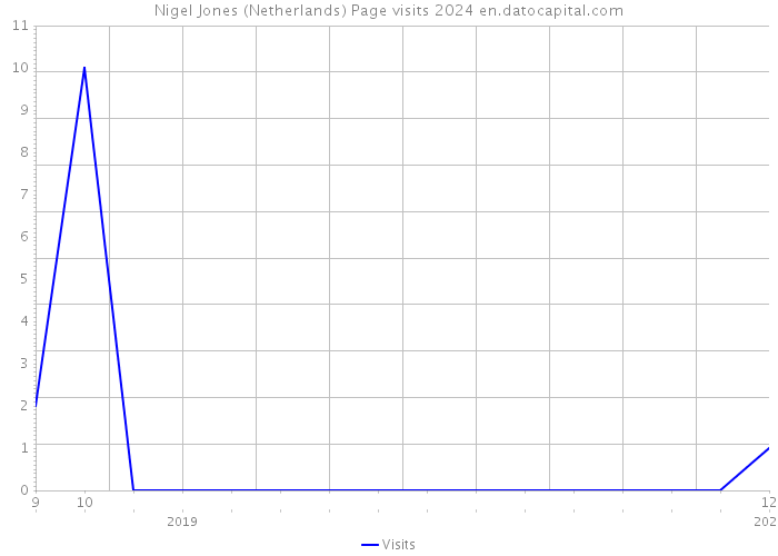 Nigel Jones (Netherlands) Page visits 2024 