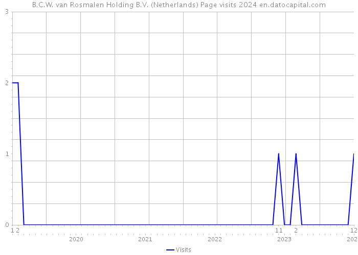 B.C.W. van Rosmalen Holding B.V. (Netherlands) Page visits 2024 