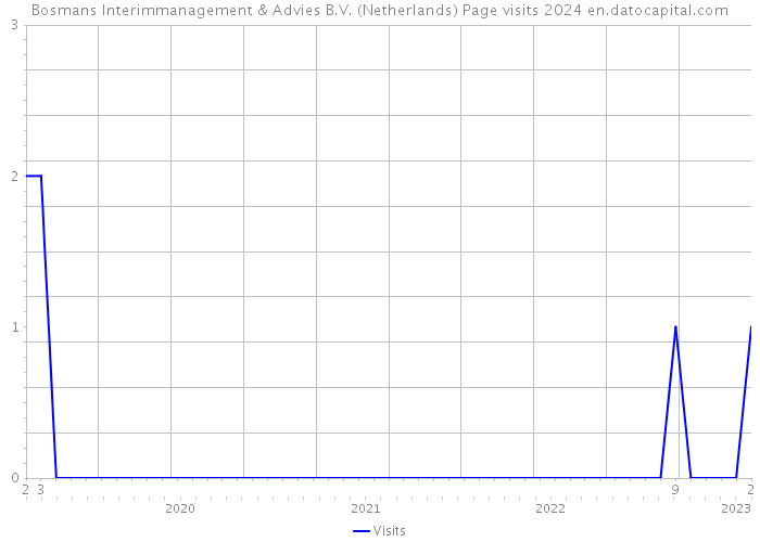 Bosmans Interimmanagement & Advies B.V. (Netherlands) Page visits 2024 