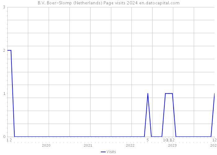 B.V. Boer-Slomp (Netherlands) Page visits 2024 