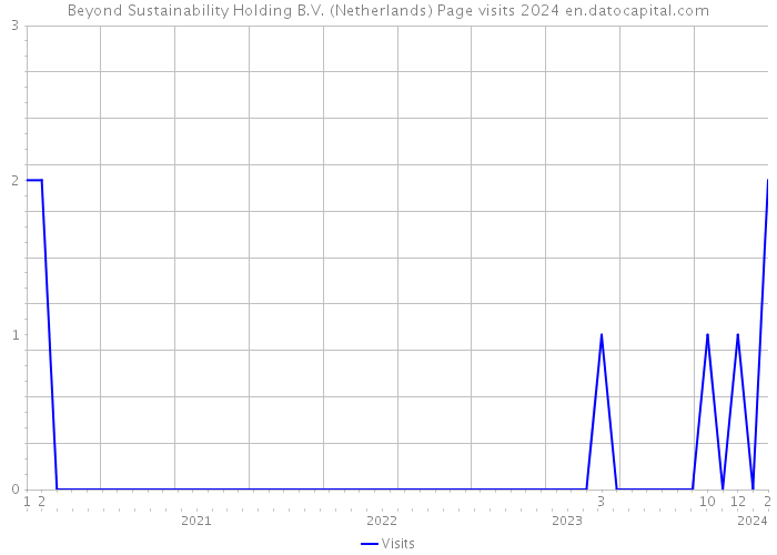 Beyond Sustainability Holding B.V. (Netherlands) Page visits 2024 