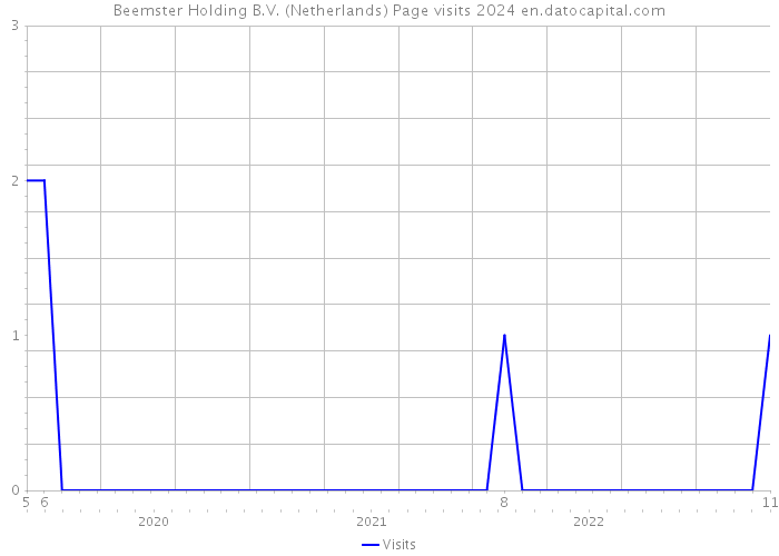 Beemster Holding B.V. (Netherlands) Page visits 2024 