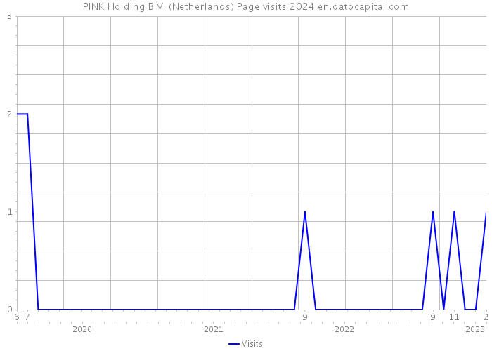 PINK Holding B.V. (Netherlands) Page visits 2024 