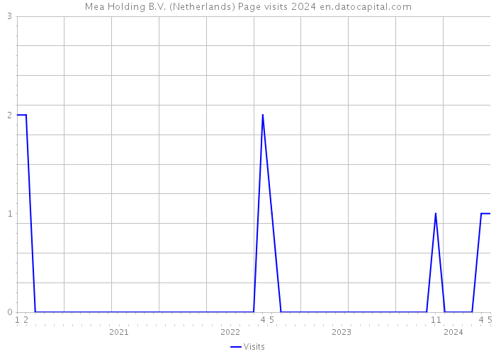 Mea Holding B.V. (Netherlands) Page visits 2024 