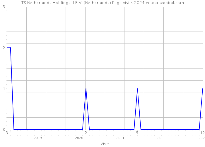 TS Netherlands Holdings II B.V. (Netherlands) Page visits 2024 