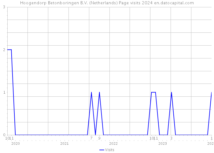 Hoogendorp Betonboringen B.V. (Netherlands) Page visits 2024 