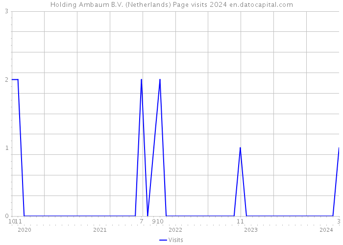 Holding Ambaum B.V. (Netherlands) Page visits 2024 