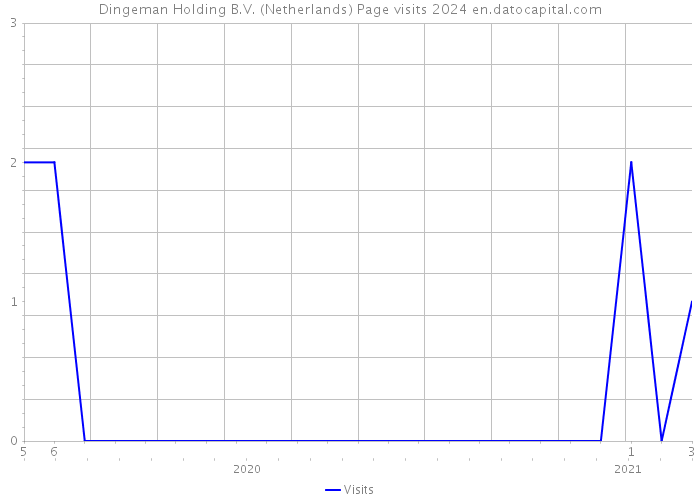 Dingeman Holding B.V. (Netherlands) Page visits 2024 