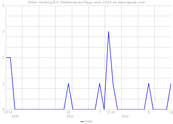 Dillen Holding B.V. (Netherlands) Page visits 2024 