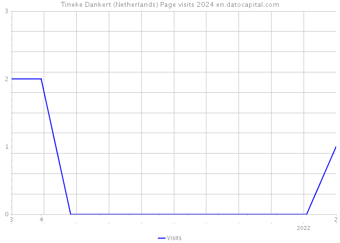 Tineke Dankert (Netherlands) Page visits 2024 