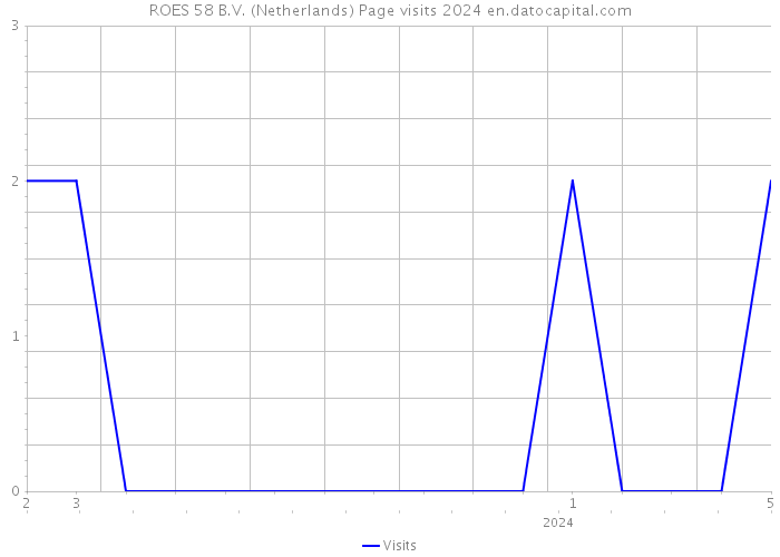 ROES 58 B.V. (Netherlands) Page visits 2024 