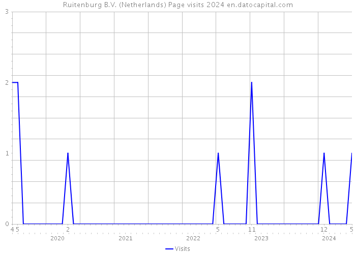 Ruitenburg B.V. (Netherlands) Page visits 2024 