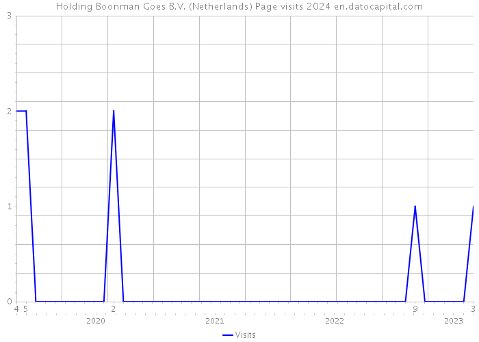 Holding Boonman Goes B.V. (Netherlands) Page visits 2024 
