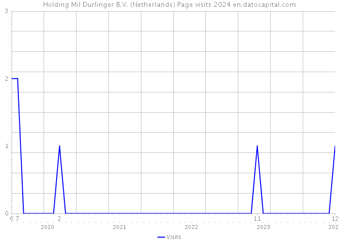 Holding Mil Durlinger B.V. (Netherlands) Page visits 2024 