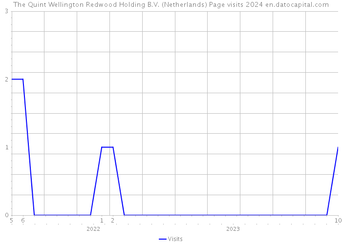 The Quint Wellington Redwood Holding B.V. (Netherlands) Page visits 2024 