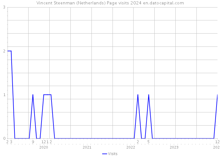 Vincent Steenman (Netherlands) Page visits 2024 