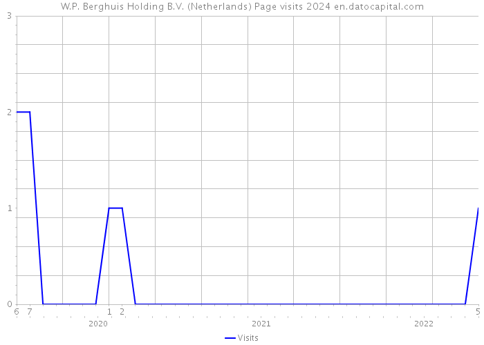 W.P. Berghuis Holding B.V. (Netherlands) Page visits 2024 