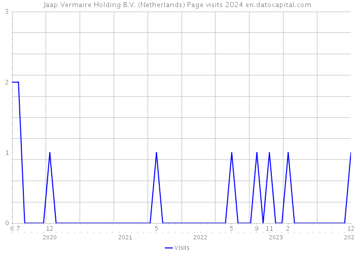 Jaap Vermaire Holding B.V. (Netherlands) Page visits 2024 