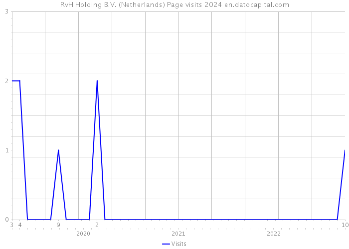 RvH Holding B.V. (Netherlands) Page visits 2024 