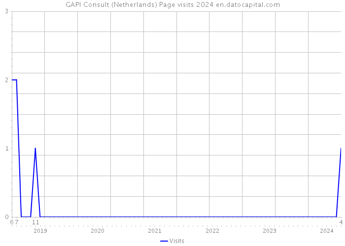 GAPI Consult (Netherlands) Page visits 2024 
