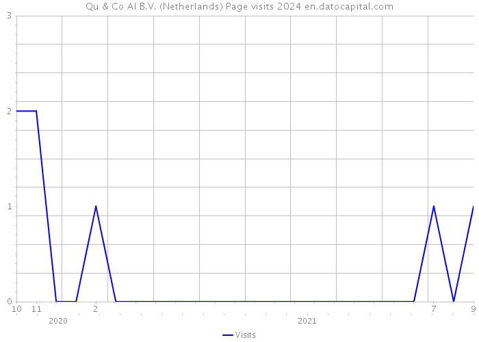 Qu & Co AI B.V. (Netherlands) Page visits 2024 