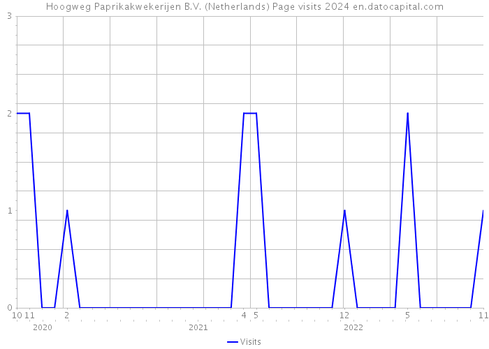 Hoogweg Paprikakwekerijen B.V. (Netherlands) Page visits 2024 
