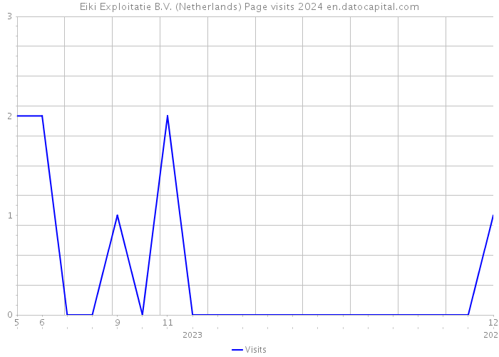 Eiki Exploitatie B.V. (Netherlands) Page visits 2024 