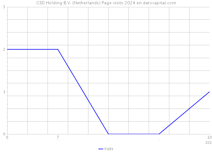 CSD Holding B.V. (Netherlands) Page visits 2024 