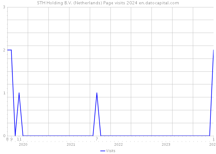STH Holding B.V. (Netherlands) Page visits 2024 