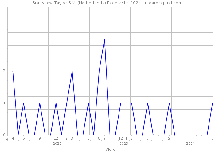 Bradshaw Taylor B.V. (Netherlands) Page visits 2024 