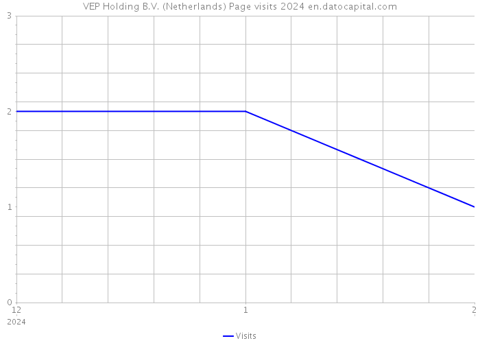 VEP Holding B.V. (Netherlands) Page visits 2024 