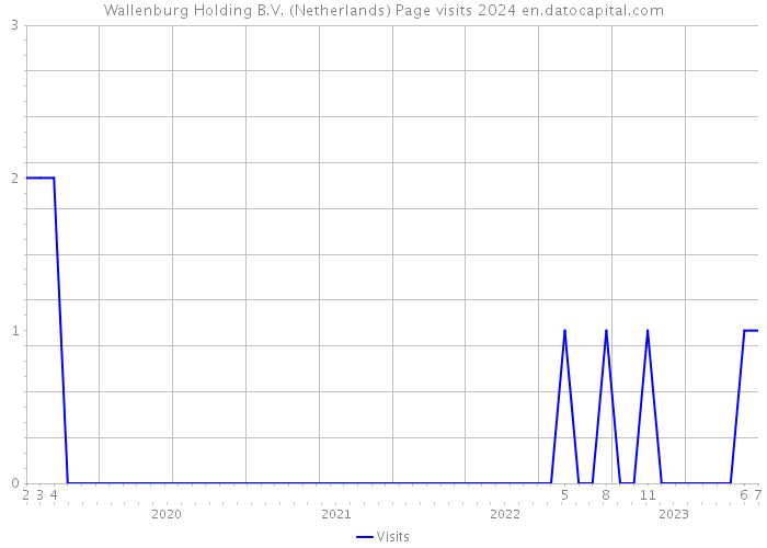 Wallenburg Holding B.V. (Netherlands) Page visits 2024 