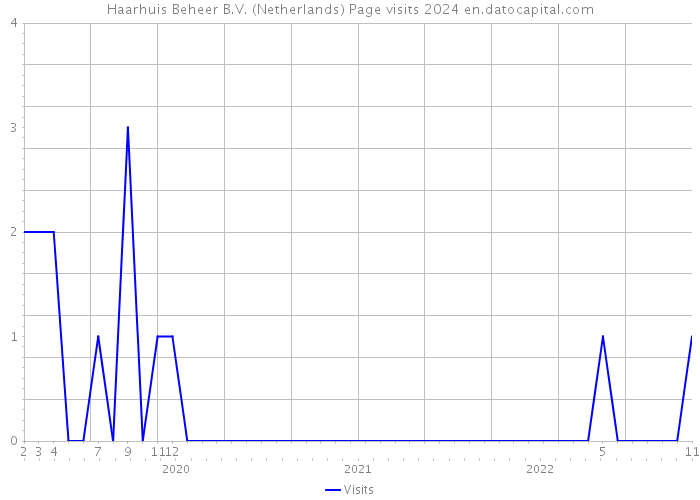 Haarhuis Beheer B.V. (Netherlands) Page visits 2024 
