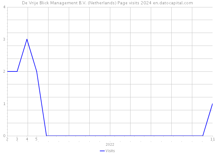 De Vrije Blick Management B.V. (Netherlands) Page visits 2024 