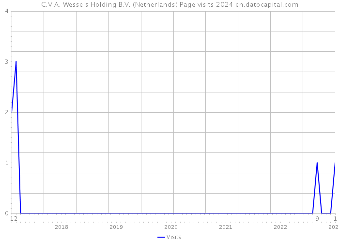 C.V.A. Wessels Holding B.V. (Netherlands) Page visits 2024 