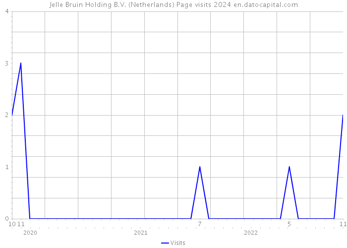 Jelle Bruin Holding B.V. (Netherlands) Page visits 2024 